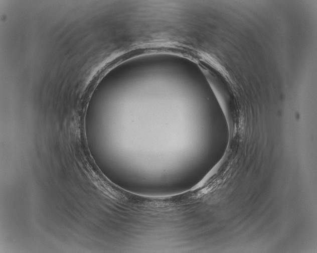 X0000064721356200602171605