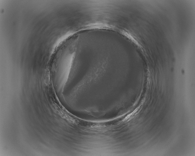 X0000064721358200602171605