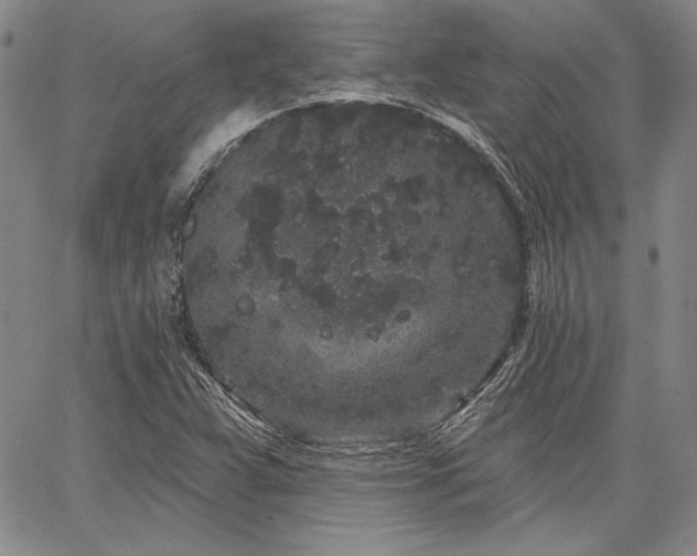 X0000064721359200602171605