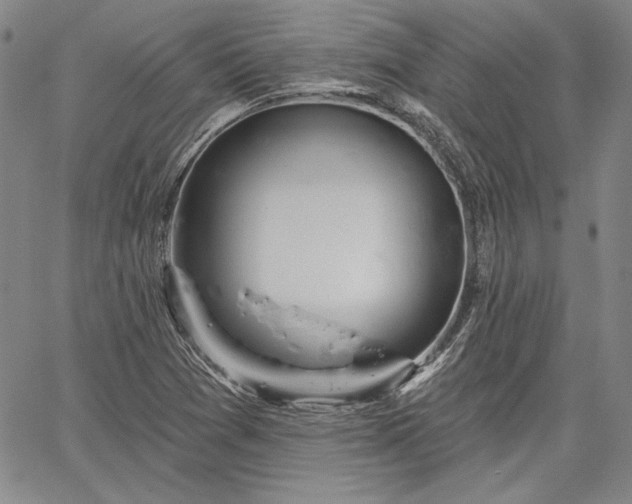 X0000064721361200602171605