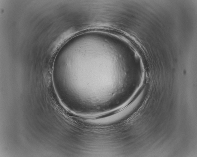 X0000064721363200602171605