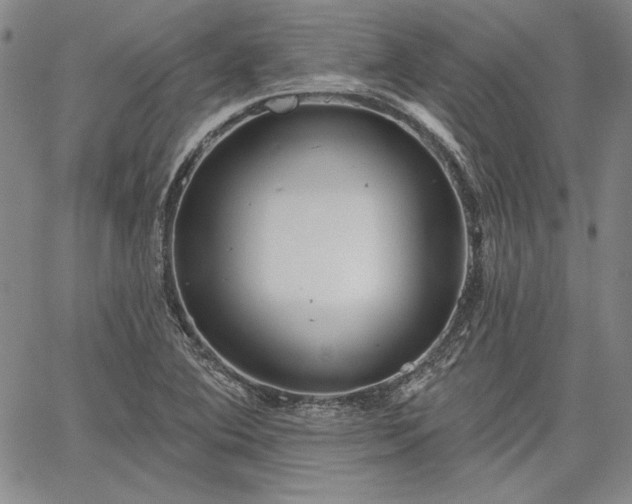 X0000064721364200602171605