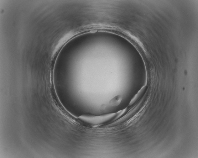 X0000064721365200602171605