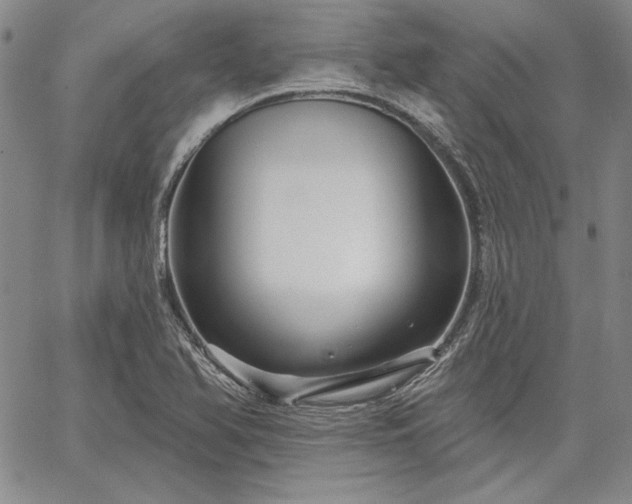 X0000064721366200602171605