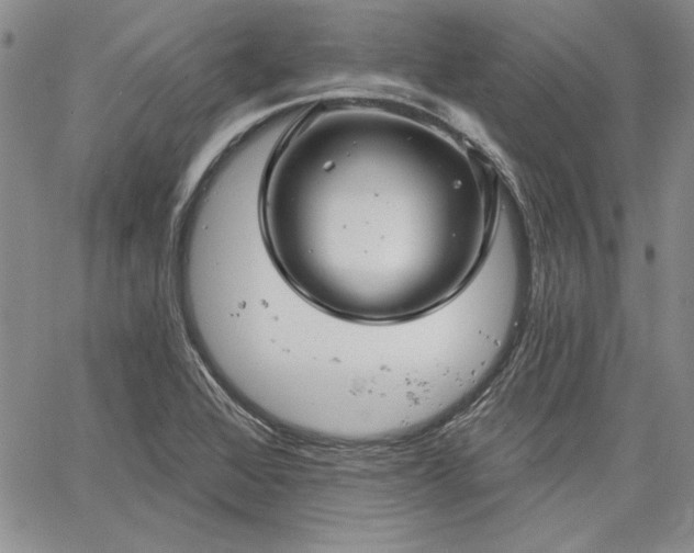 X0000064721368200602171605