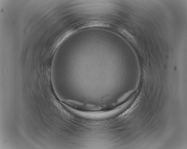 X0000064721369200602171605