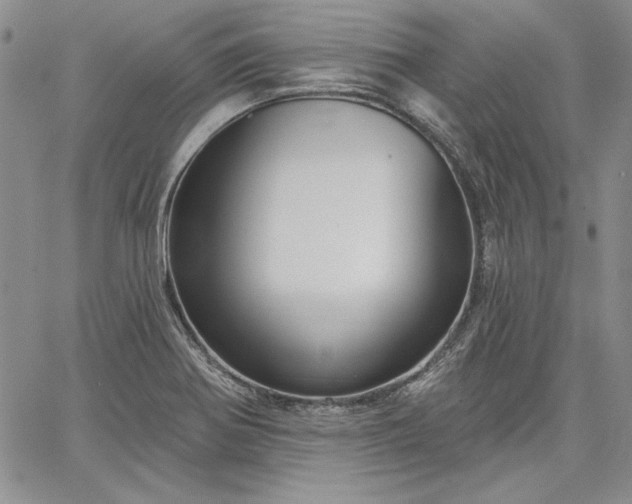 X0000064721370200602171605