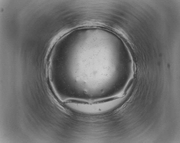 X0000064721371200602171605