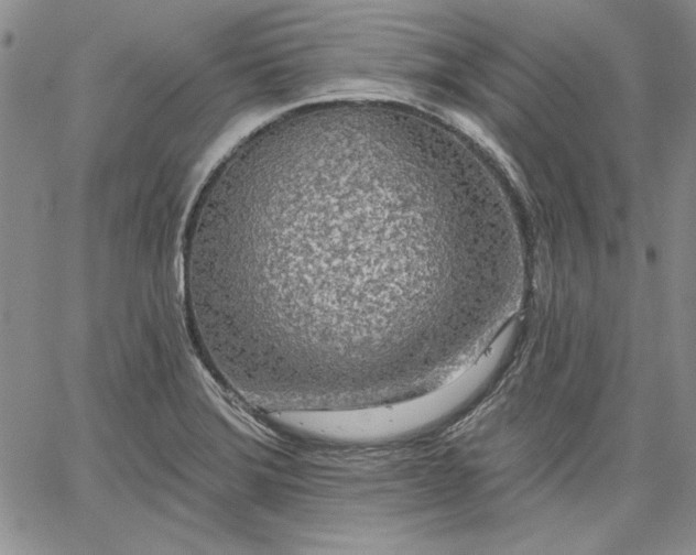 X0000064721372200602171605