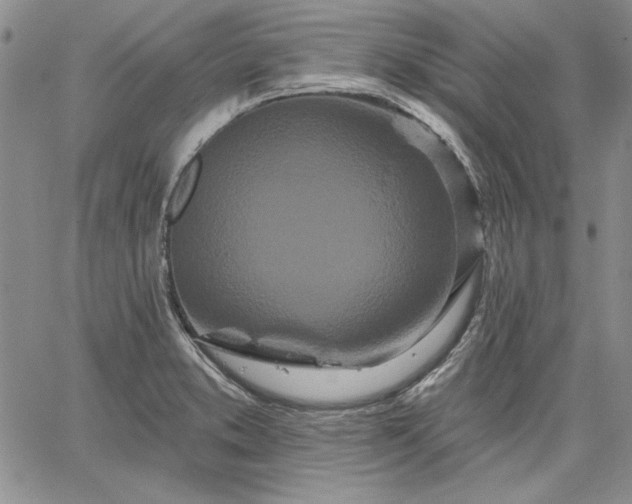 X0000064721373200602171605