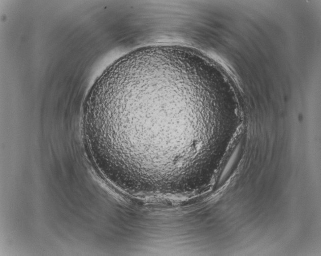 X0000064721374200602171605