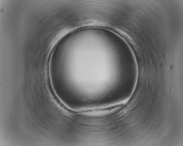 X0000064721375200602171605