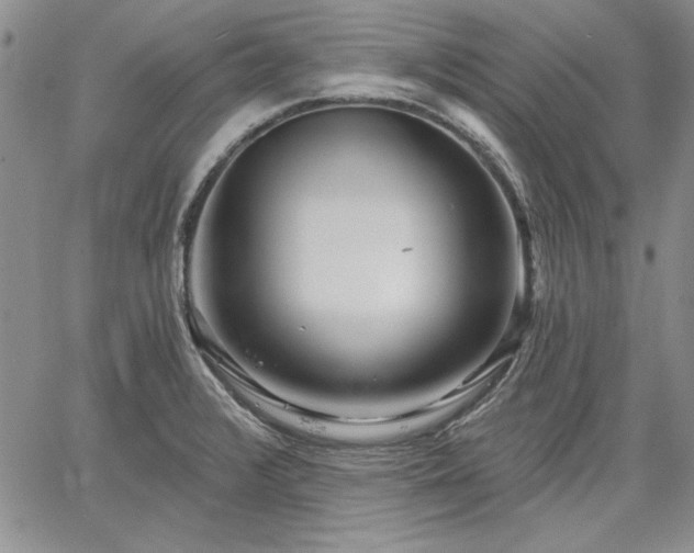 X0000064721376200602171605