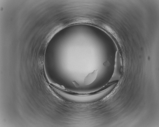 X0000064721377200602171605