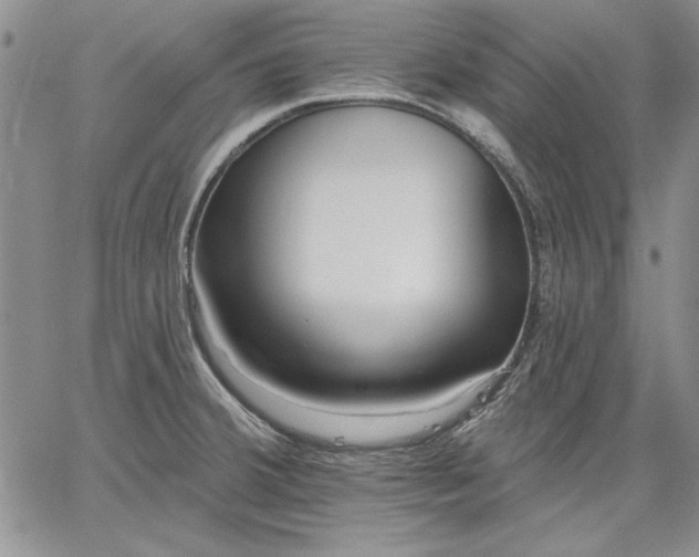 X0000064721380200602171605