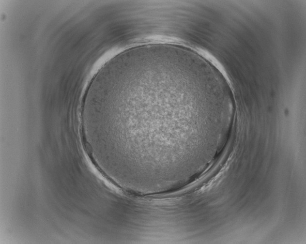 X0000064721381200602171605