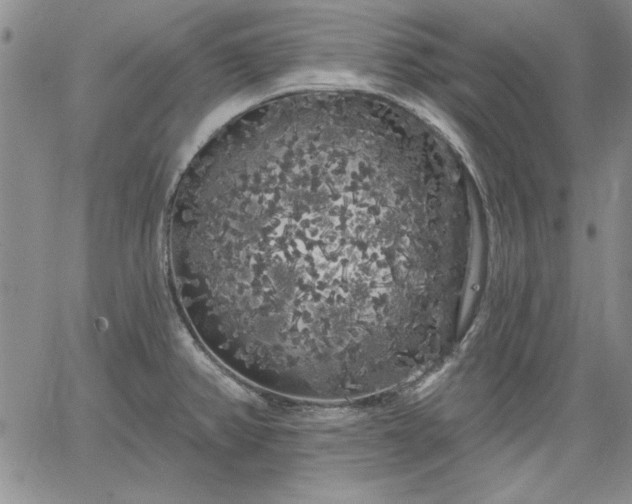 X0000064721382200602171605