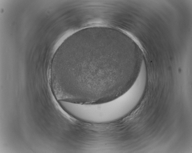 X0000064721383200602171605