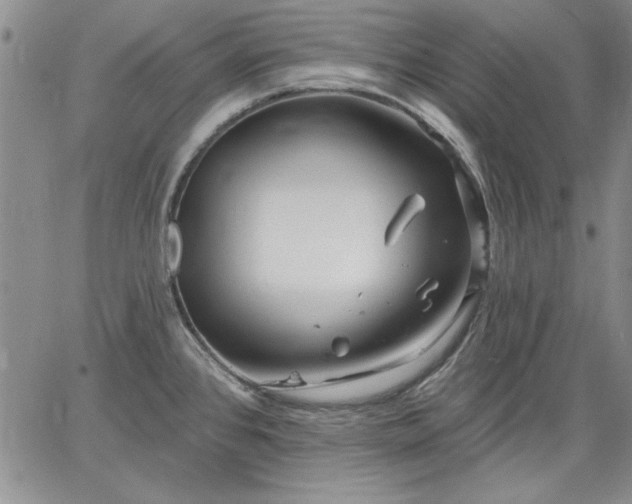 X0000064721384200602171605