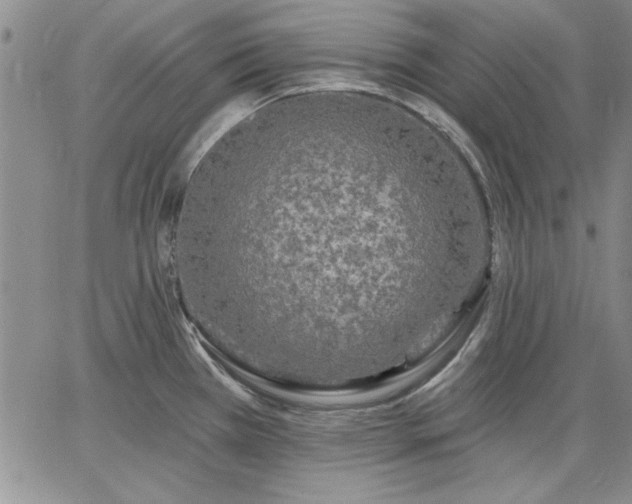 X0000064721385200602171605