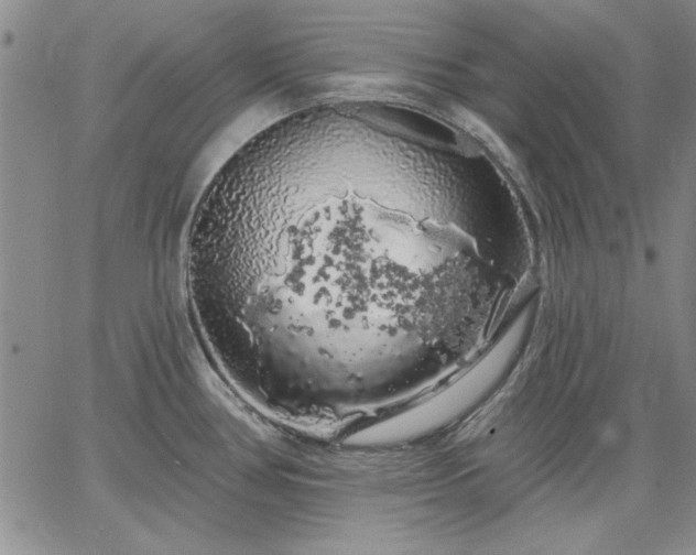 X0000064721386200602171605