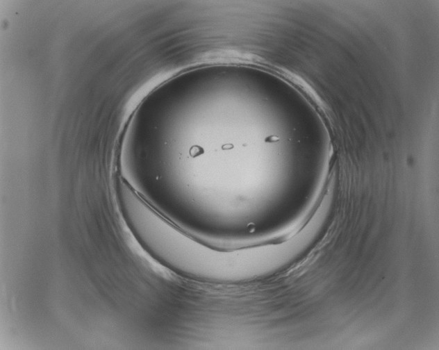 X0000064721387200602171605