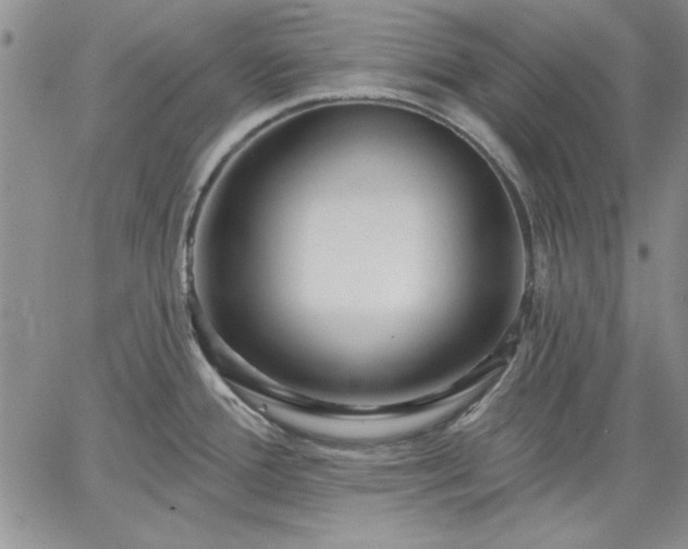 X0000064721388200602171605