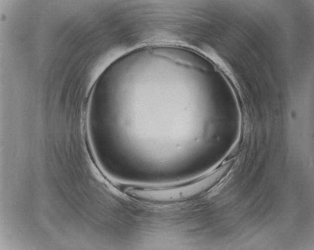 X0000064721390200602171605