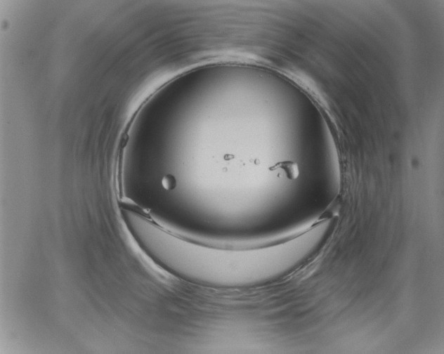 X0000064721391200602171605