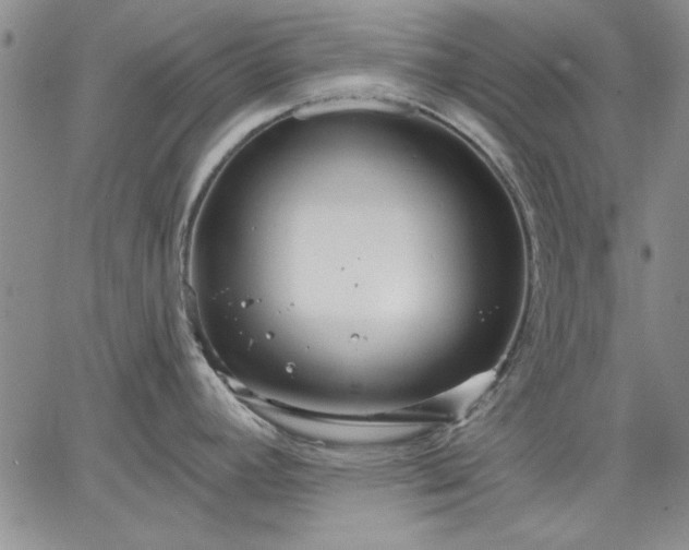 X0000064721392200602171605