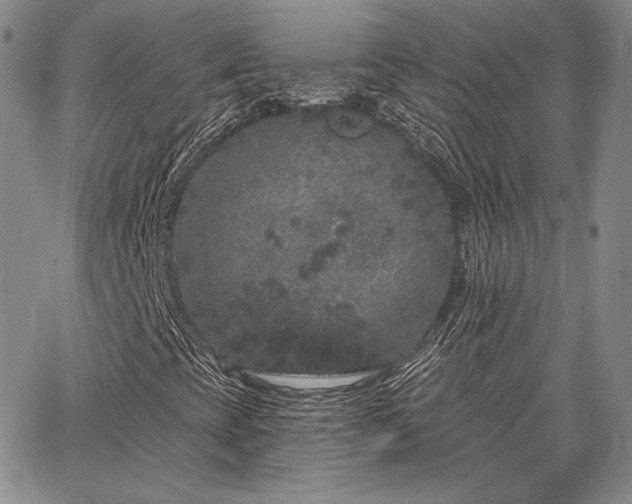 X0000064721393200602171604