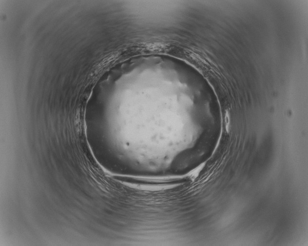 X0000064721395200602171604