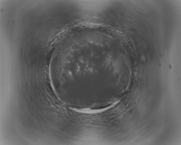 X0000064721397200602171604