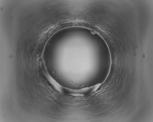 X0000064721398200602171604