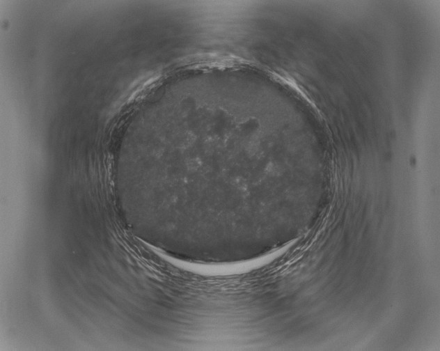 X0000064721399200602171604