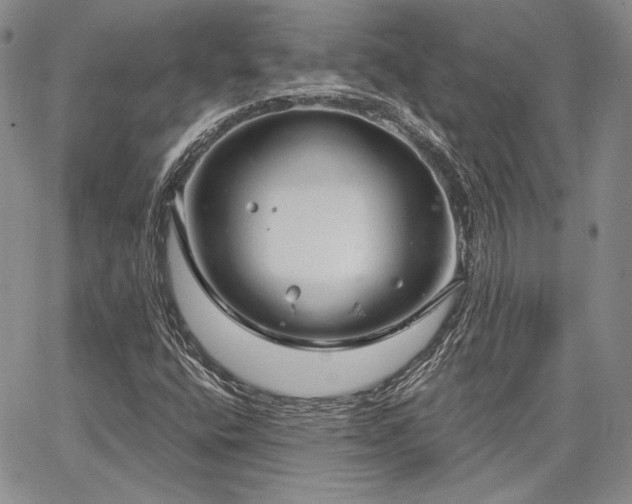 X0000064721400200602171604