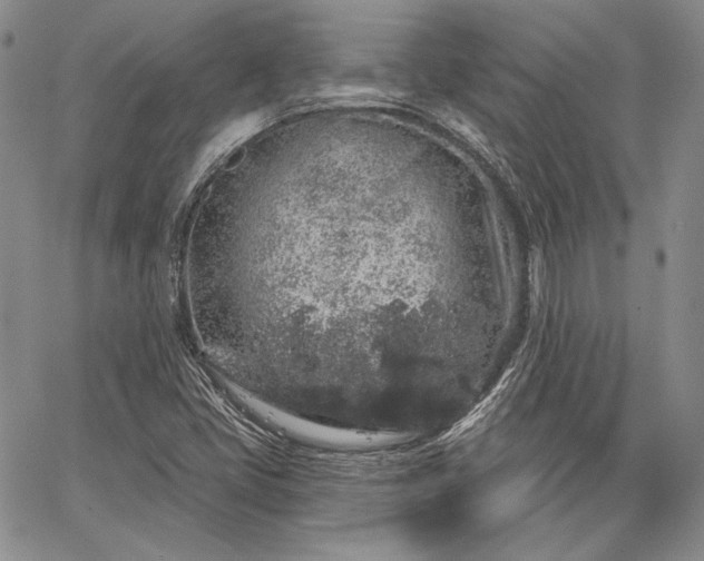 X0000064721405200602171604