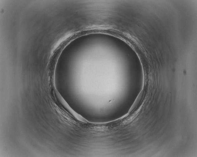 X0000064721406200602171604