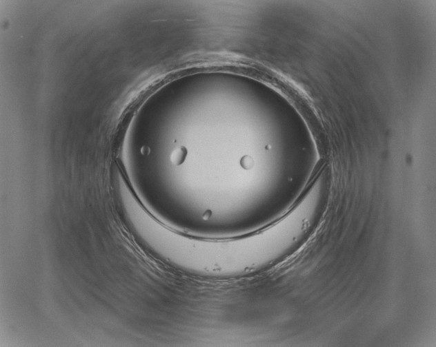 X0000064721407200602171604