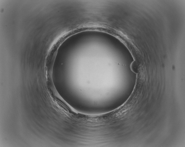 X0000064721408200602171604