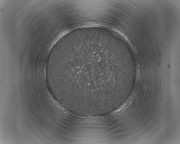 X0000064721409200602171604