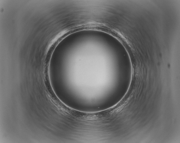 X0000064721410200602171604