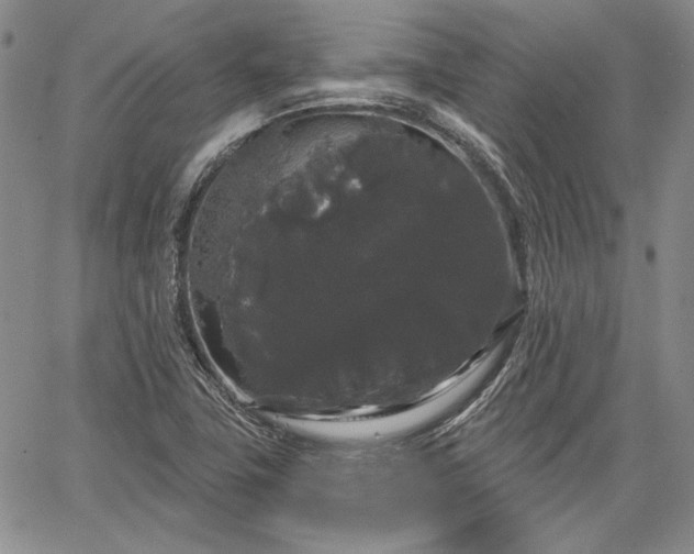 X0000064721411200602171604