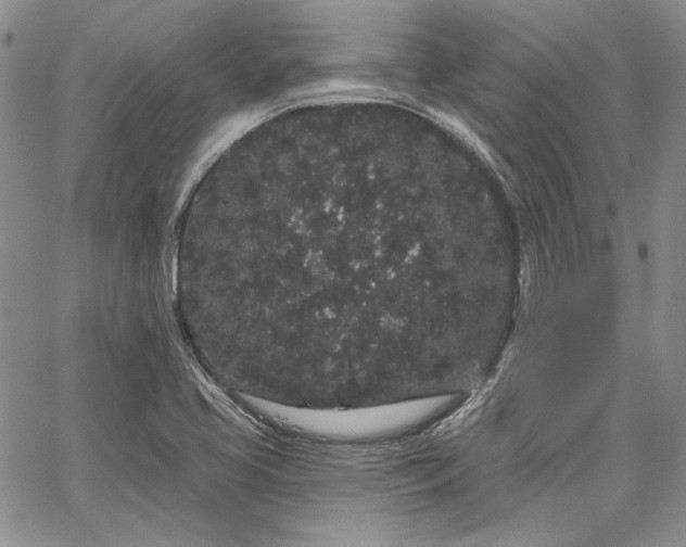 X0000064721413200602171604