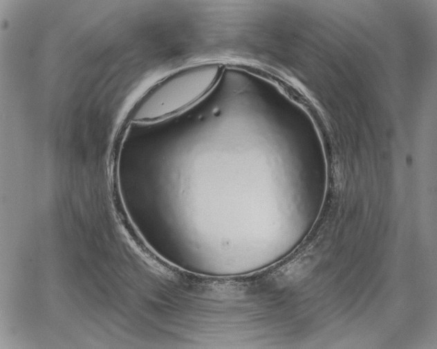 X0000064721416200602171604