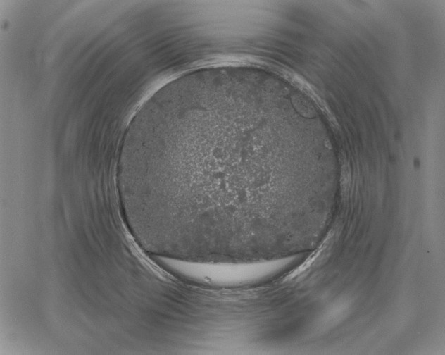 X0000064721417200602171604