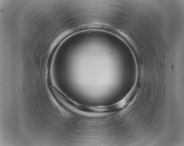 X0000064721418200602171604