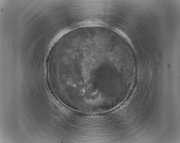 X0000064721419200602171604