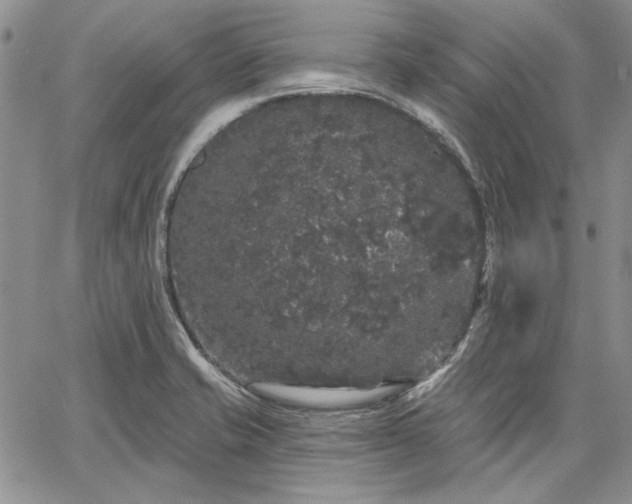 X0000064721421200602171604