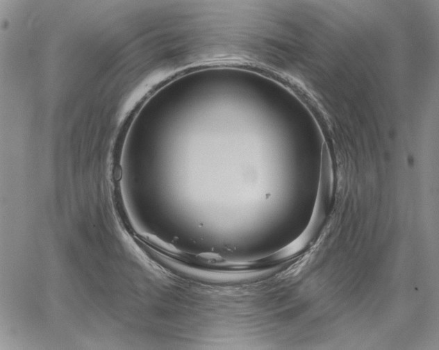 X0000064721422200602171604